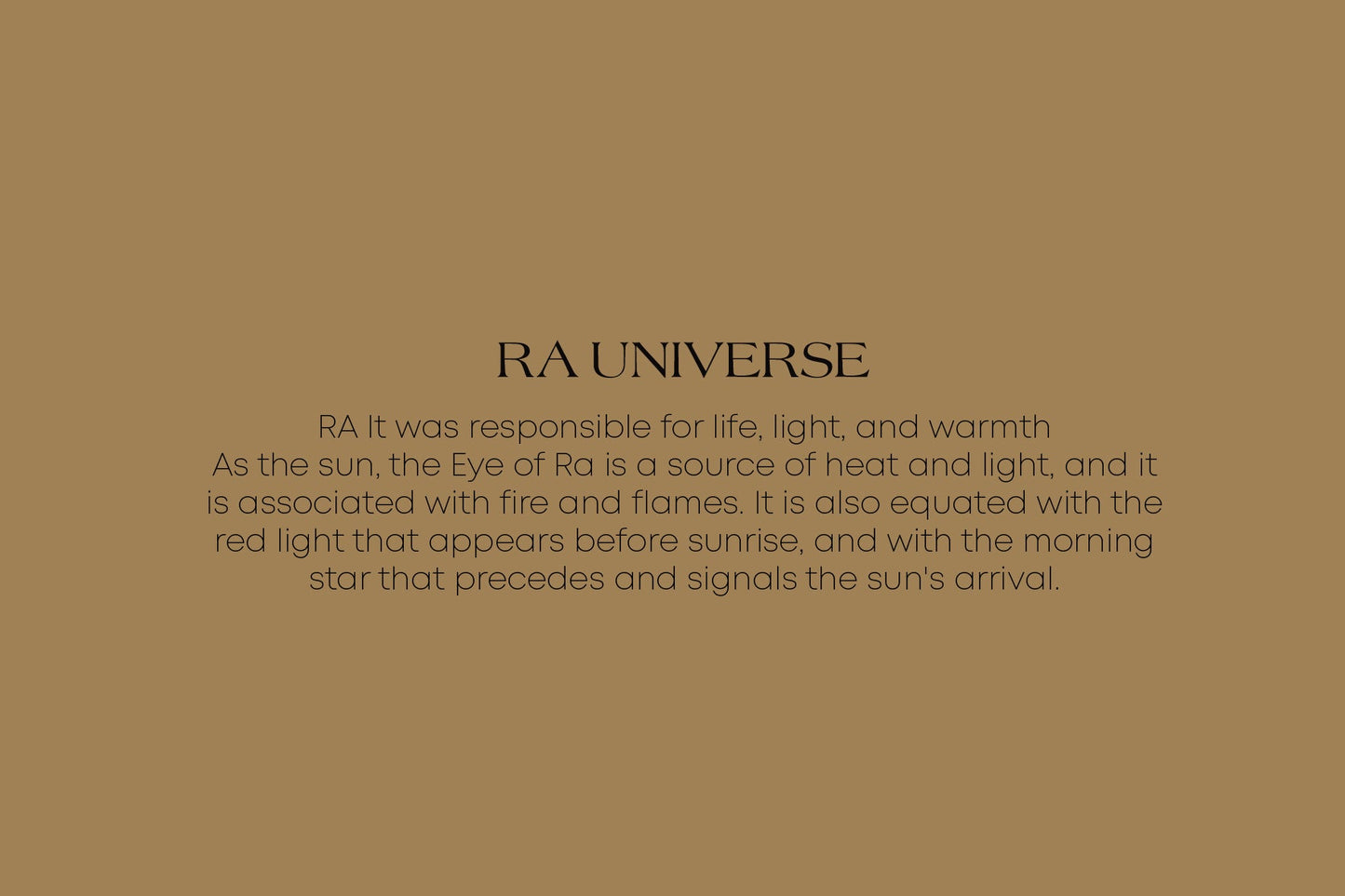 RA Universe | Velvet Embroidered Black Dress