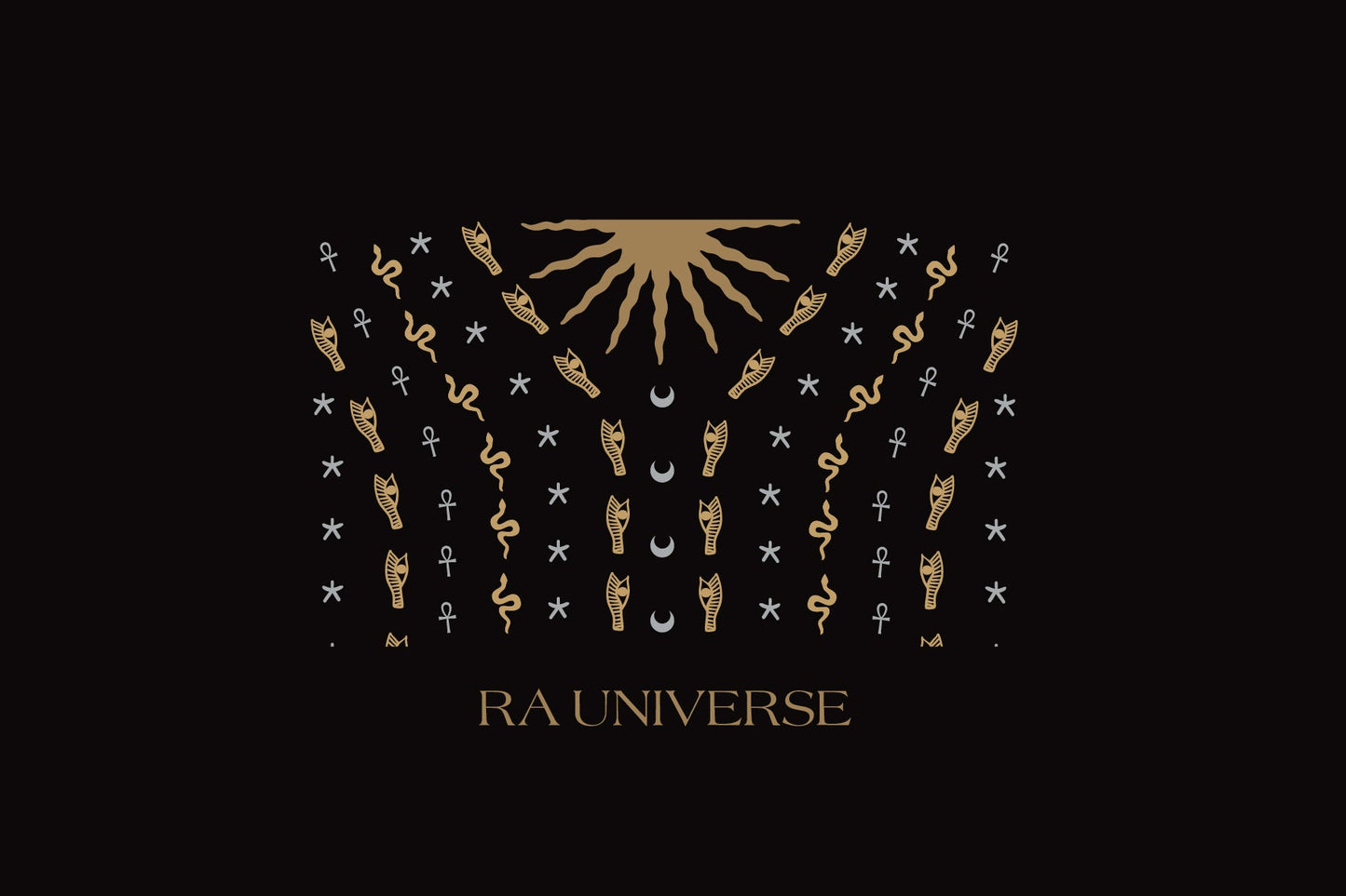 RA Universe | Velvet Embroidered Black Dress