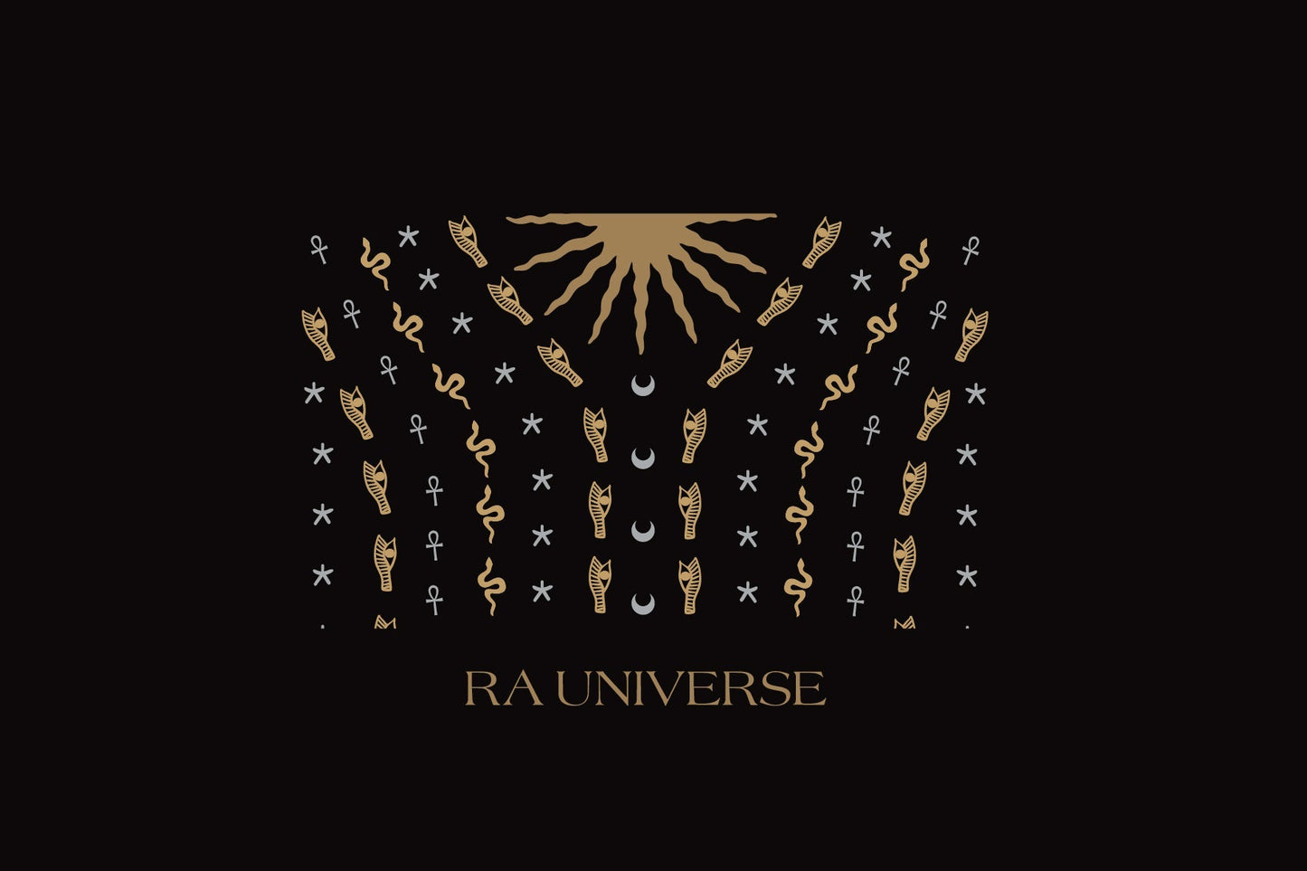 RA Universe | Velvet Embroidered Black Dress (Cairo Edit)